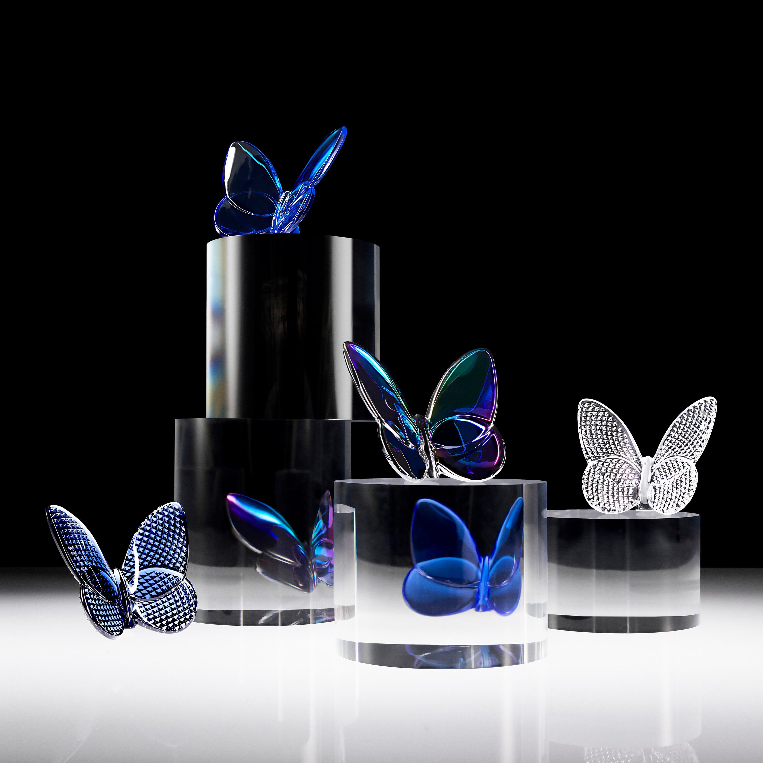 Lucky Butterfly | Baccarat Japan