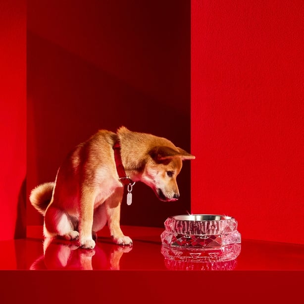 Louxor Pet Bowl L BACCARAT