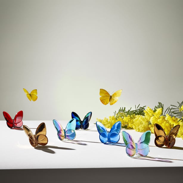 Lucky Butterfly BACCARAT
