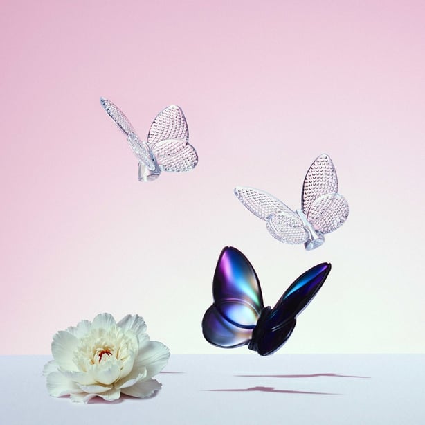 Lucky Butterfly BACCARAT