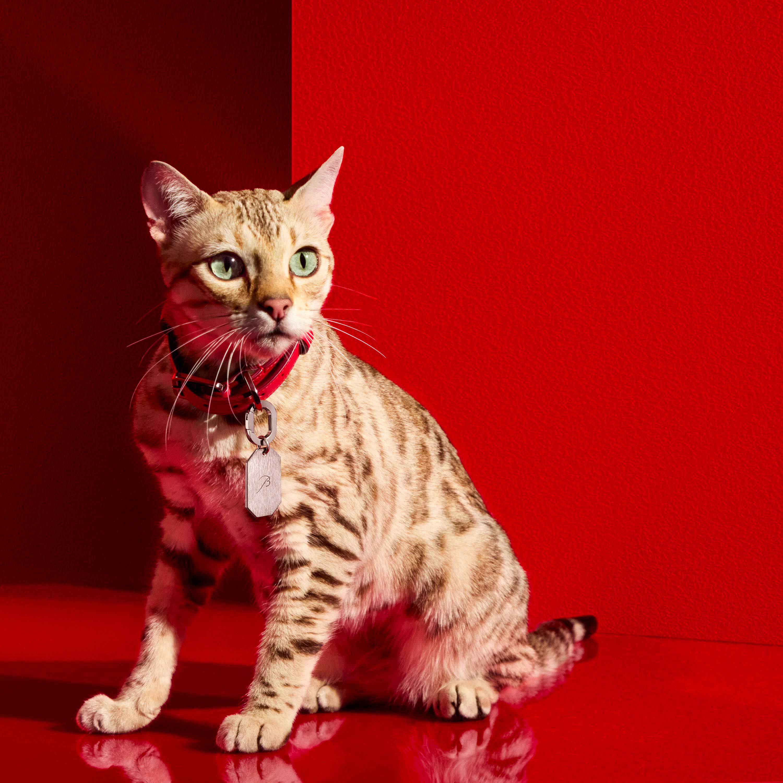 Baccarat バカラ/※非売品　大型 750g ロゴディスプレイ ブラック 楽天市場】バカラ ヴィータ タンブラー 2019 グラス バカラ