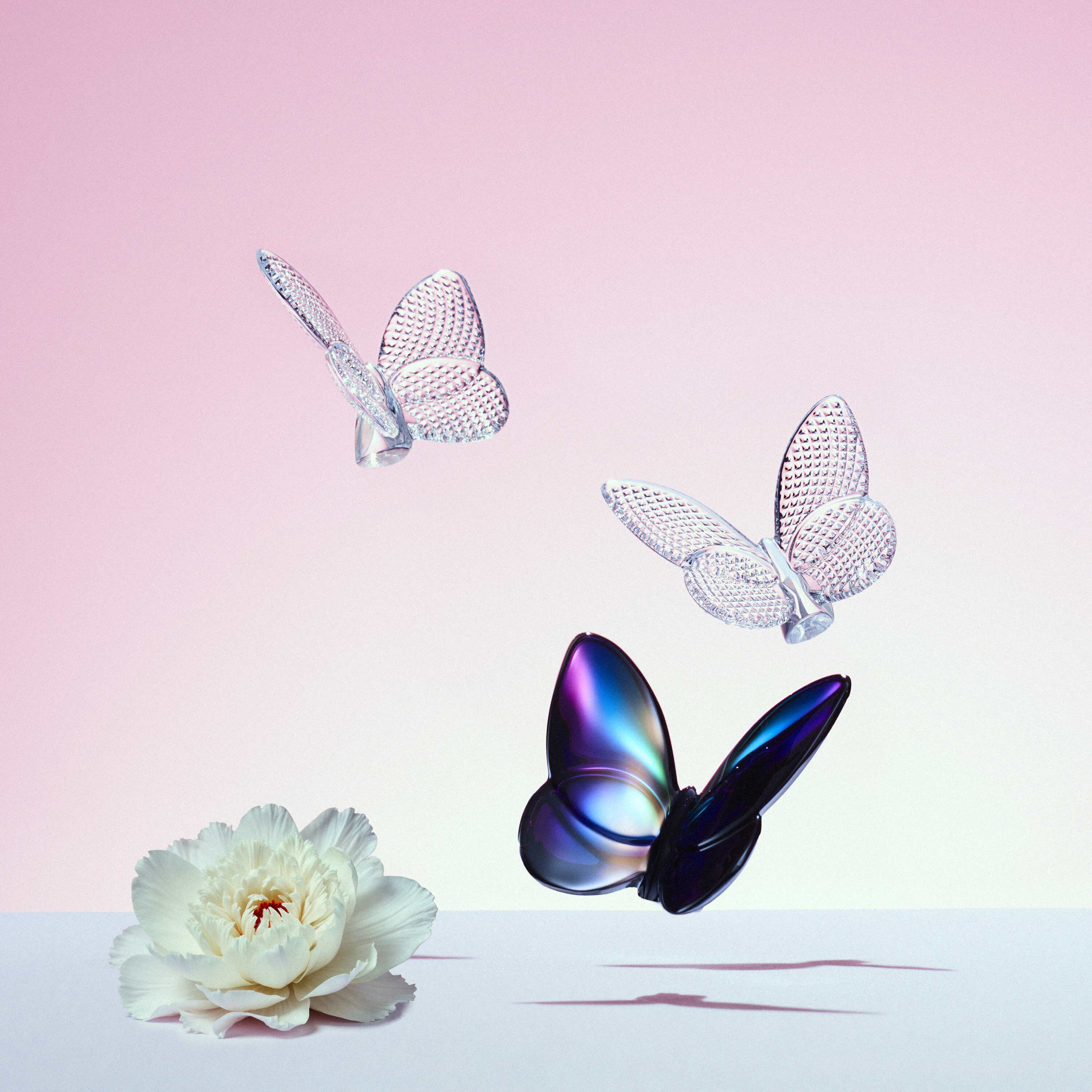 Lucky Butterfly | Baccarat United States