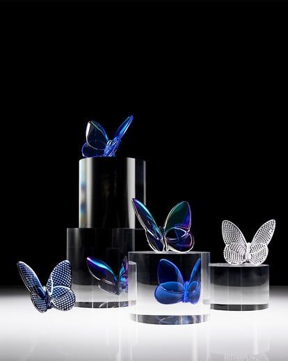 Lucky Butterfly