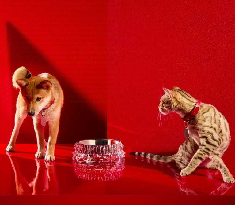 Pets