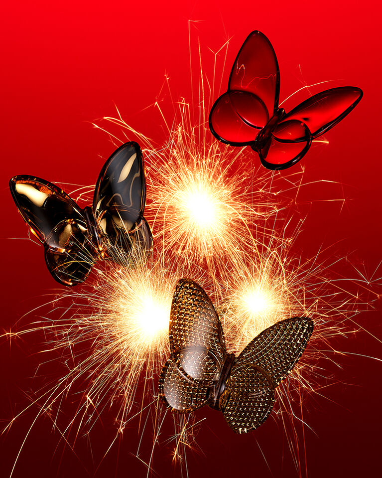 Lucky Butterflies