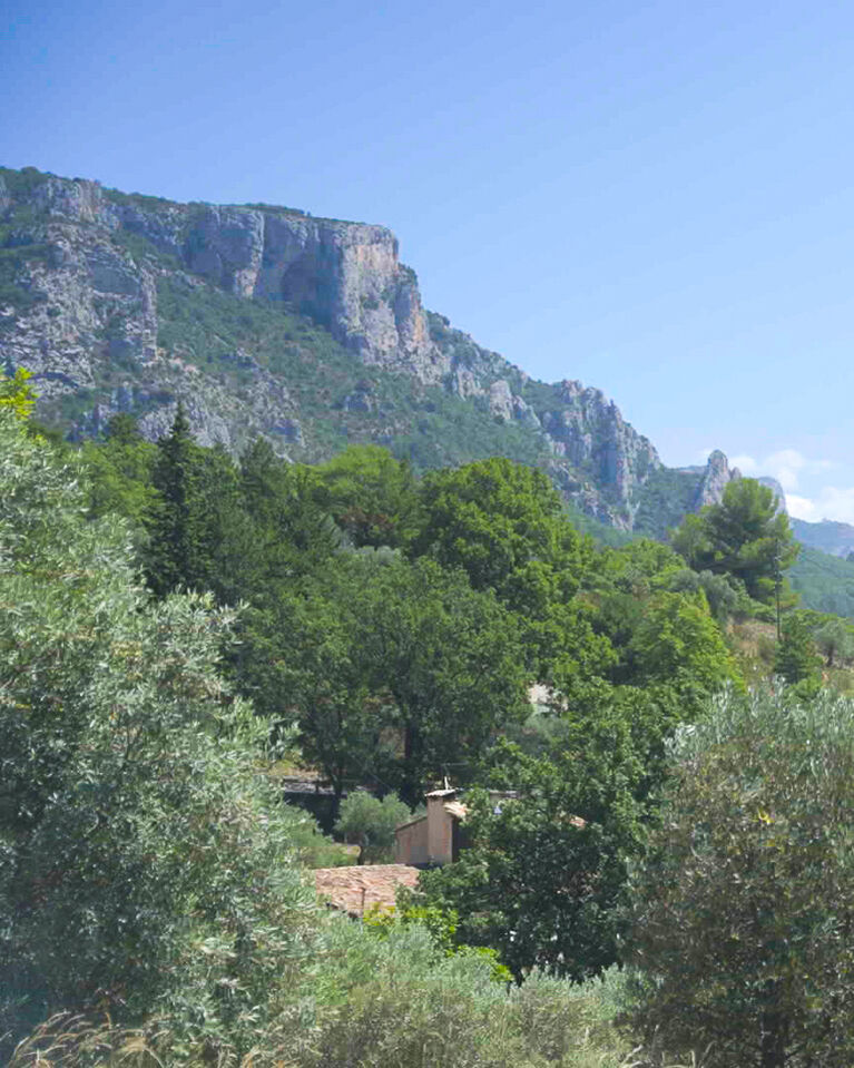 Valley landscape