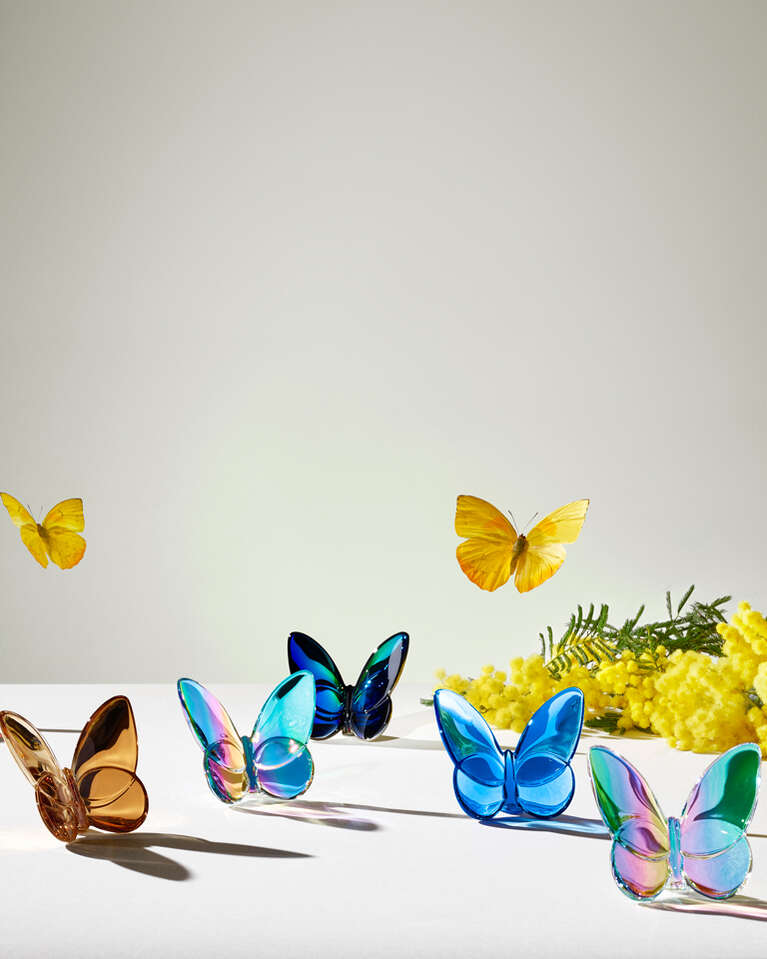 Lucky Butterfly
