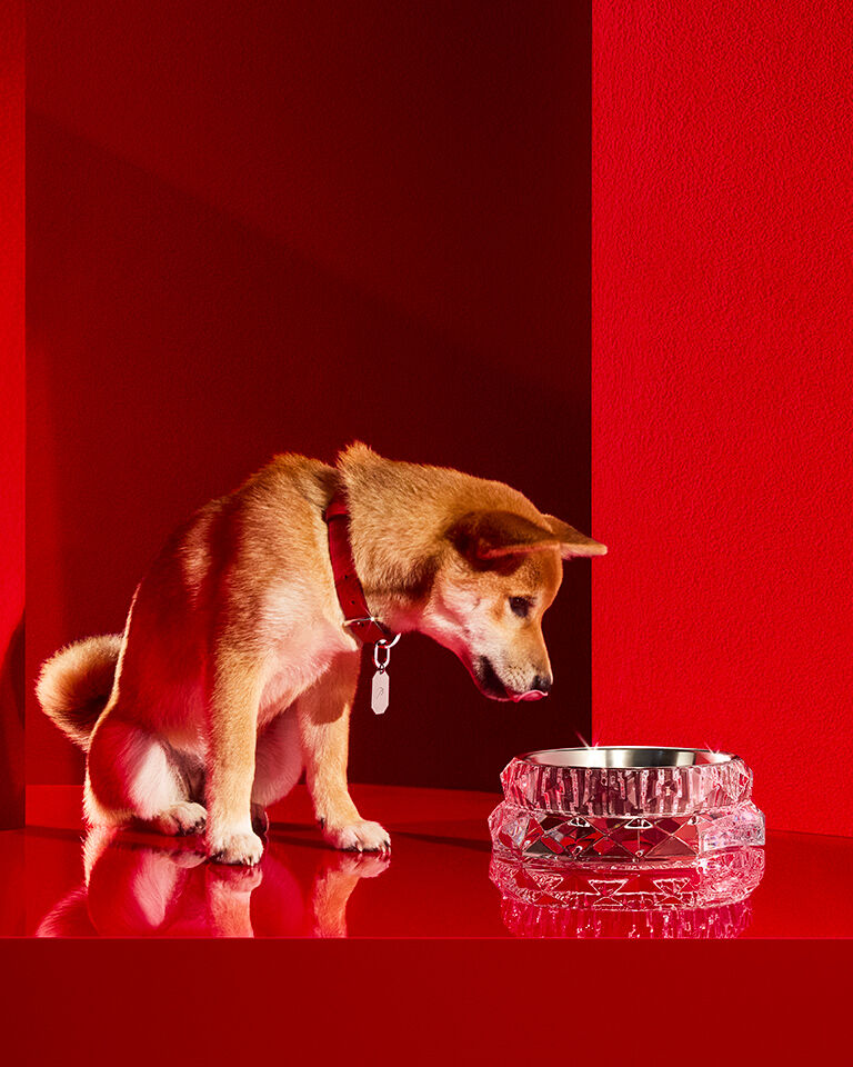 Baccarat Official Online Shop | Baccarat United States