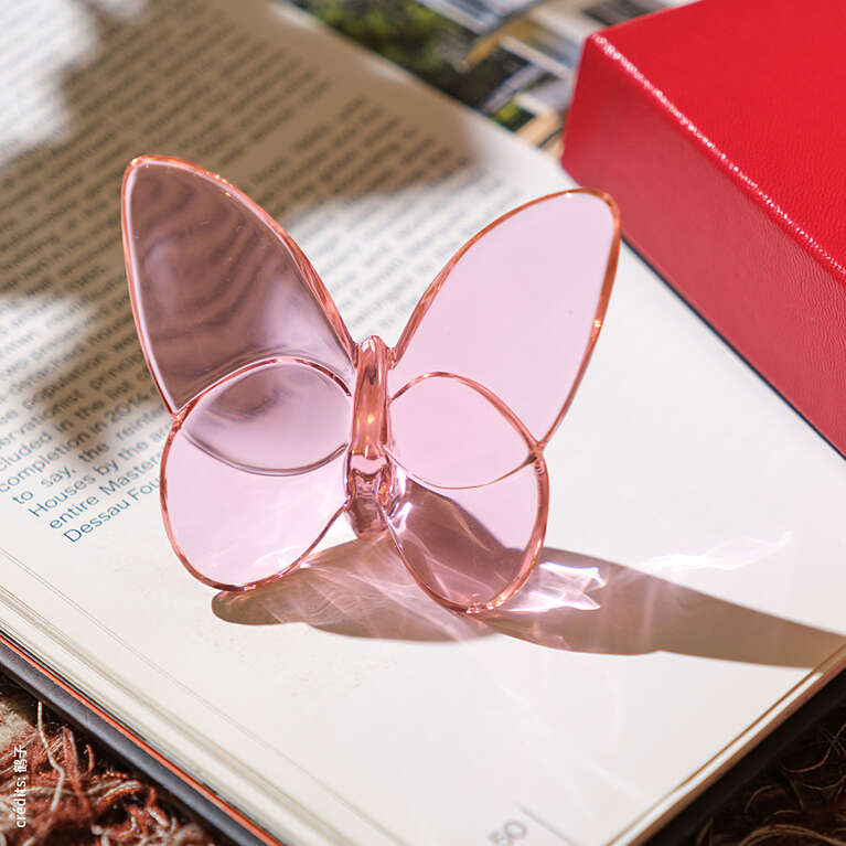 Pink Lucky Butterfly