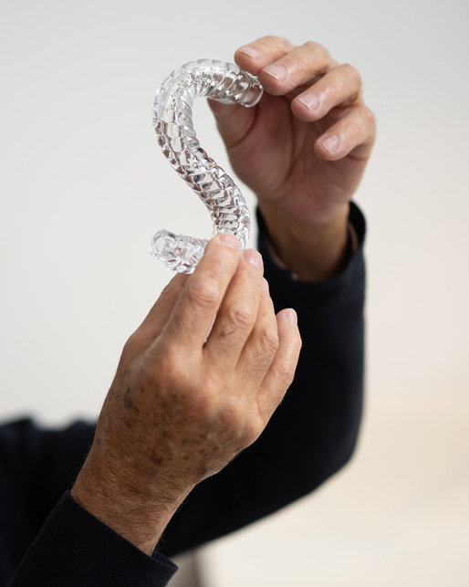 Jean-Baptiste Sibertin-Blanc designing Diatomées de Cristal