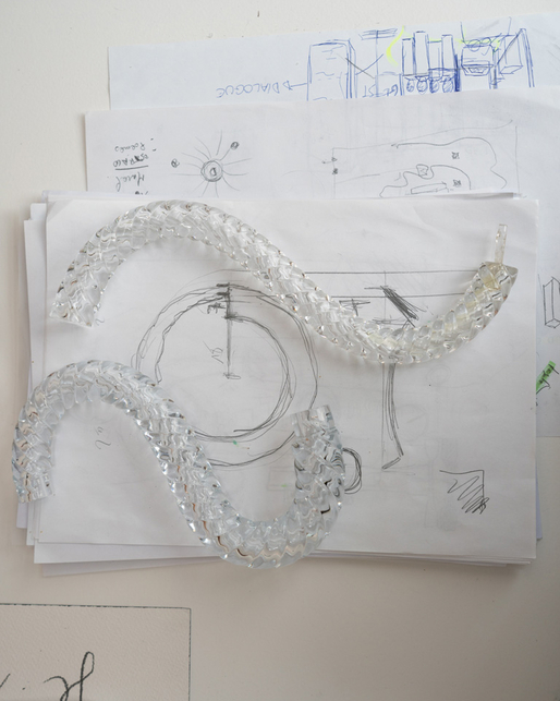 Jean-Baptiste Sibertin-Blanc designing Diatomées de Cristal