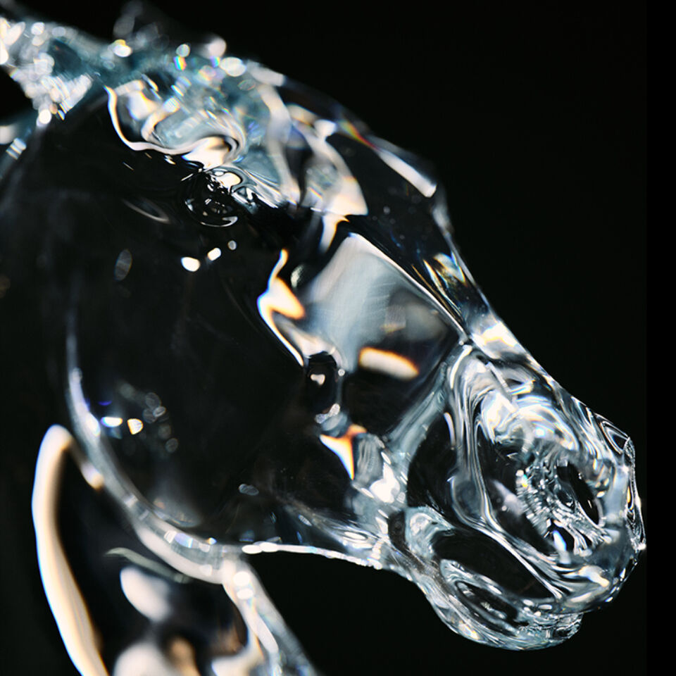 Exceptional Collaborations | Baccarat United States