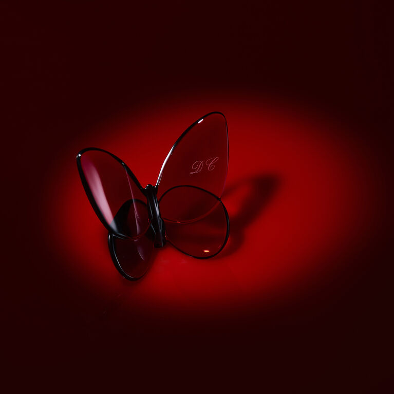 Personnalize your butterflyu