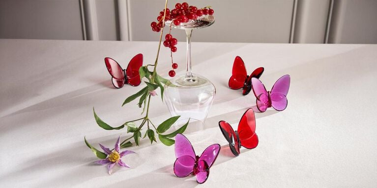 butterfly valentined