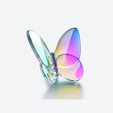 Farfalla Portafortuna, Trasparente iridescente