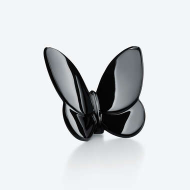 Papillon Porte-Bonheur Noir Voir 1
