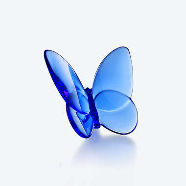 Papillon Porte-Bonheur Bleu Voir 1
