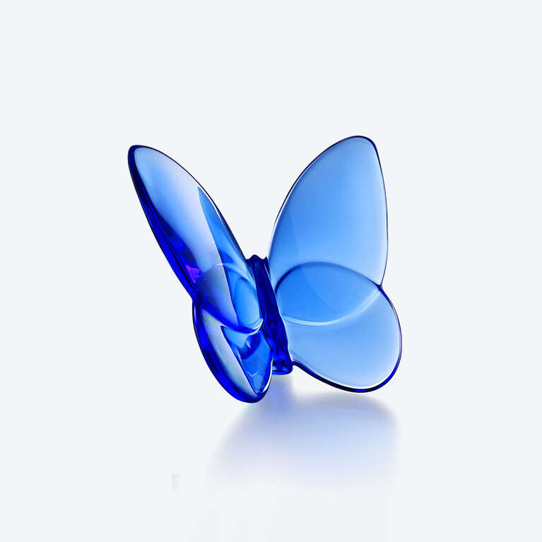 Papillon Porte-Bonheur Bleu