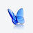 Papillon Porte-Bonheur Bleu