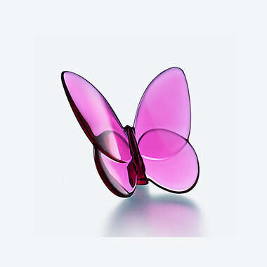 Papillon Schmetterling Glücksbringer Pfingstrose Siehe 1