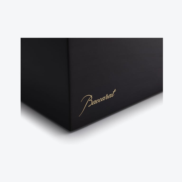 Pegasus Cigar Humidor Baccarat in Wood Multicolor