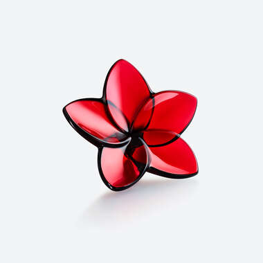 The Bloom Collection Rouge Voir 1