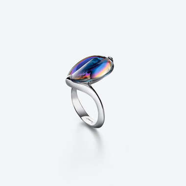 Fleurs de Psydélic Silver Ring Blue Scarabee View 1