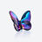 Papillon Porte-Bonheur Scarabée Bleu