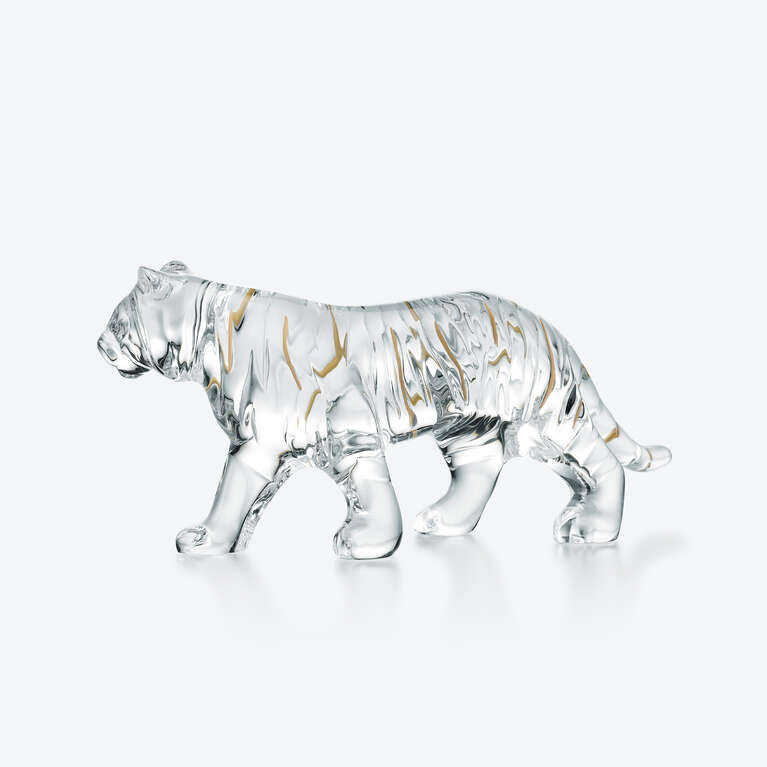 Zodiaque Tiger 2022 