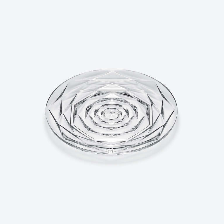 Swing Plate 