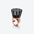 L'Eclat de Talleyrand Empress Rose Gold Plated Ring Baccarat in Black Vermeil