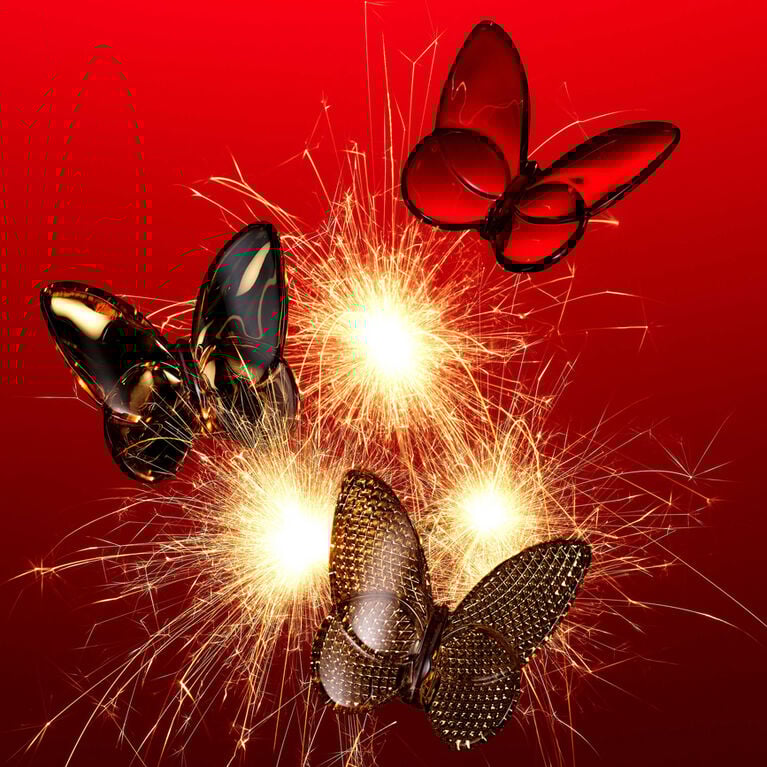 Lucky Butterfly